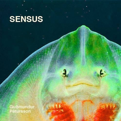 Guðmundur Pétursson: SENSUS